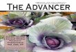 The Advancer - ALCDC Advancer winter 2019.pdfThe Advancer ARKANSAS LAND AND COMMUNITY DEVELOPMENT CORPORATION’S FARGO, ARKANSAS INTER 19 ALFDC/ALCDC Annual Winter Farmers’ Conference