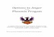 Options to Anger - Lane County · Options to Anger For e Phoenix Progam th A cognitive behavioral skill based program designed to help understand the physiology of anger, reduce incidences