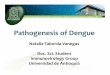 Pathogenesis of Dengue - IID and GHTP Taborda Venegas_Pathogenesis of... · Pathogenesis of Dengue ... High titres of dengue virus-specific neutralizing antibodies have been associated