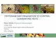 PHYTOSANITARY IRRADIATION TO CONTROL QUARANTINE … · PHYTOSANITARY IRRADIATION TO CONTROL QUARANTINE PESTS Peter Follett, Research Entomologist USDA-ARS U.S. Pacific Basin Agricultural