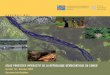 ATLAS FORESTIER INTERACTIF DE LA RÉPUBLIQUE pdf.wri.org/interactive_forest_atlas_drc_fr.pdf · PDF file atlas forestier interactif de la rÉpublique dÉmocratique du congo (version