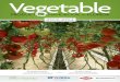 Vegetable - gcrec.ifas.ufl.edu · Vegetable production in Florida, including melons and strawberry, occurred in approximately 176,000 acres and generated more than $1.5 billion in