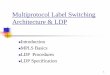 Multiprotocol Label Switching Architecture & LDP · 10 MPLS&LDP->MPLS Basics->Labels n A label distribution protocol is a set of procedures by which one LSR informs another of the