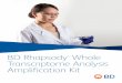 BD Rhapsody Transcriptome Analysis Amplification Kit · 2020-03-05 · The BD Rhapsody WTA Amplification kit has been thoroughly tested and validated to generate consistent, high-quality