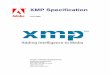 June 2005 XMP Specification · 12 June 2005 XMP Specification Introduction What XMP Does Not Cover 1 Packets, a means of packaging the data in files.Chapter 5, “Embedding XMP Metadata