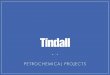 PETROCHEMICAL PROJECTS - Tindall Corporationinto an emulative precast solution. The project uses 30-foot precast columns to support the steel pipe-rack module throughout the plant