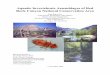 Aquatic Invertebrate Assemblages of Red Rock Canyon ...Aquatic Invertebrate Assemblages of Red Rock Canyon National Conservation Area Final Report for United States Department of the