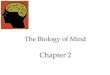 The Biology of Mind Chapter 2 - Thomas County School District · 2016-10-27 · The Biology of Mind Neural Communication Neurons How Neurons Communicate How Neurotransmitters Influence