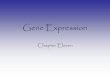 Gene Expression - pdfs.semanticscholar.org · Gene Expression Chapter Eleven. What is Gene Expression? • When a gene is expressed – that gene’s protein product is made: 1. DNA