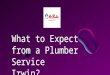 What to Expect from a Plumber Service Irwin?