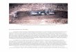 View of partially excavated burial feature containing the …docshare03.docshare.tips/files/26247/262470291.pdf · 2017-02-28 · View of partially excavated burial feature containing