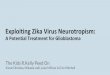 Exploiting Zika Virus Neurotropismdosequis.colorado.edu/Courses/BrainWeb/Sections/2018/Use of Zika Virus... · Exploiting Zika Virus Neurotropism: A Potential Treatment for Glioblastoma