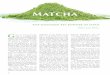 Matcha - Global Tea Hutarchive.globalteahut.org/docs/pdf_articles/2016-05/2016-05-a042.pdf · height of the lavish Song Dynasty (960-1279) tea culture. Centuries ago, China was the
