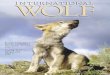 Rainforest Wolves, Crying Wolf in Kyrgyzstan, · 2015-03-26 · Robinson in his letter in the same issue. Robinson has supported Mexican wolf recovery with genuine dedication for