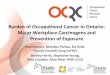 Burden of Occupational Cancer in Ontario: Major Workplace ... · Burden of Occupational Cancer in Ontario: Major Workplace Carcinogens and Prevention of Exposure Paul Demers, Manisha