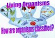 Organisms - Katy · PDF file 2015-01-26 · Organisms reproduce Sexual Reproduction •Offspring arise from the mating of two parents. Asexual Reproduction •Offspring arise from