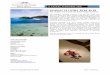 NOMADE YACHTING BORA BORA - Incredible JourneyNomade Yachting Bora Bora Fact Sheet Page 8 of 14 pages A Voyage in Absolute Style NOMADE YACHTING PROGRAM 7 days / 6 nights Monday -