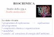 Nessun titolo diapositiva ForumFree/biochimica mod... · Bioenergetica cellulare L’ipotesi chemiosmotica:Peter Mitchell (1960), risolve il mistero dell’intermedio ~X con un’idea