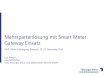 Mehrspartenlösung mit Smart Meter Gateway Einsatz · Mehrspartenlösung mit Smart Meter Gateway Einsatz XXVI. Zähler-Fachtagung, Eisenach, 13./14. November 2019 Lutz Berger. Geschäftsführer