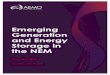 Emerging Generation and Energy Storage in the NEM...• Storage is being used to optimise the integration of variable renewable energy (VRE) into the National Electricity Market (NEM)