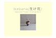(Shera) Ikebana - Singapore Polytechnic · Japanese Flower Arrangement . Background of Ikebana "Ikebana" is derived from i keru keep alive, arrange flowers, living") and ... More