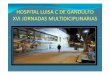 HOSPITAL LUISA C DE GANDULFO - Hospital Gandulfohigagandulfo.com.ar/adjuntos/trabajo_jornada2013/traumatismoencefalo... · Hospital Zonal General de Agudos “Dr. Lucio Meléndez”