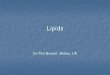 Lipids - Tissue sampling, processing and staining · Cold acetone – simple lipids, neutral lipids & cholesterol Hot acetone – compound lipids such as cerebrosides Hot ether –