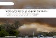 WEATHER GONE WILD: CLIMATE CHANGE- FUELLED EXTREME WEATHER … · This report provides a snapshot of major extreme weather events in 2018 in Australia and globally. The report discusses
