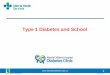 Type 1 Diabetes and School · 3. Goals of Presentation • Describe the basics of managing type 1 diabetes. • Identify the roles of teachers and parents in diabetes management while
