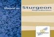 Sturgeon - Oregon Department of Fish and Wildlife Manual.pdfsturgeon culture is also considered as a business commodity with great economic potential. The ﬁrst trials in sturgeon