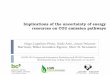 Implications of the uncertainty of energy resources on CO2 ... · Implications of the uncertainty of energy resources on CO2 emission pathways Iñigo Capellán-Pérez, Iñaki Arto,