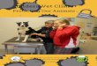 Protecting Our Animals - Enviro-Stories · Enviro-Stories Enviro-Stories is an innovative literacy education program that inspires learning about natural resource and catchment management