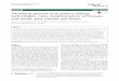 Visualizing genome and systems biology: technologies ... · REVIEW Open Access Visualizing genome and systems biology: technologies, tools, implementation techniques and trends, past,