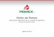 Visión de PemexMaximización del valor económico de forma sustentable Exploración y Explotación Transformación Industrial Distribución y Comercialización Temas transversales