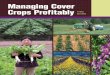 Managing Cover Crops Profitably Third EdiTionmccc.msu.edu/wp-content/uploads/2016/08/ManagingCCProfitably.pdfManaging Cover Crops Profitably Third ... Managing cover crops profitably