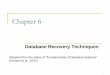 Chapter 6cse.hcmut.edu.vn/~thanhtung/downloads/dbms/Chapter_6.pdf · 7 Database Recovery 5 Data Caching Data items to be modified are first stored into database cache by the Cache