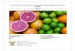 A PROFILE OF THE SOUTH AFRICAN CITRUS MARKET VALUE … · 2016-05-12 · 7.1 Domestic and export markets ... Farm sizes are also smaller and most citrus in the Western and Eastern