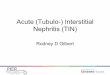 Acute (Tubulo-) Interstitial Nephritis (TIN) · Acute Tubulo-Interstitial Nephritis! Often called acute interstitial nephritis (AIN)! Term AIN first used in 1898 by Councilman! PM