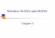Wireless WANS and MANS - National Tsing Hua Universityhscc.cs.nthu.edu.tw/~sheujp/lecture_note/wn_Ch3_Wireless_WANS_MANS.pdf · avoid interference or crosstalk Objective is to reuse