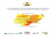 A description of the epidemiology of malaria to guide the … · A description of the epidemiology of malaria to guide the planning of control in Nigeria Report prepared by National