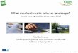 What mechanisms to valorise landscape? What mechanisms to valorise landscape Piorr.pdfCLAIM Final Conference, Brussels, Nov 14, 2014 1 Framework Conditions – Role on Policy Effectiveness