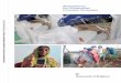 Strengthening the Humanitarian Innovation Ecosystem · Strengthening the Humanitarian Innovation Ecosystem Humanitarian Innovation Ecosystem Research Project Final Report May 2015