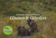 Glaciers & Grizzlies Katmailand and Kenai Peninsula bear itinerary.pdfFor Tour 2 please click here to skip to page 18 Tour 1 Overnights in Katmai 8 Nights Total Accommodations 2 Nights