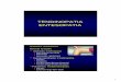TENDINOPATIA ENTESOPATIA - ACEMEFIDEaula.acemefide.org/cursos/photo/113492890310.LESIONES... · 2005-12-18 · 3 Tendón largo bíceps Adductores Tendón distal bíceps LESIONES TENDINOSAS: