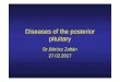Diseases of the posterior pituitary - Semmelweis Egyetemsemmelweis.hu/belgyogyaszat3/files/2017/04/Diseases-of-the-posterior-pituitary.pdfDiseases of the posterior pituitary Dr.Böröcz