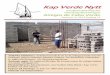 Kap Verde Nytt medlemstidning för Vänskapsföreningen Amigos de Cabo Verde Nummer 3/ 2014 Årgång 24 ADENEs klubbhus i Achada Fazenda är ett av de många projekt som för- verkligats