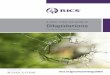 A clear, impartial guide to Dilapidations · PDF file 2018-09-07 · rics.org. RICS has a range of free guides available for the property issues listed here. Dilapidations. A clear,