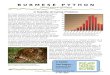 Burmese Python Information Packet€¦  · Web viewTo highlight the python problem, the Florida Fish and Wildlife Conservation Commission and its partners launched the 2013 Python