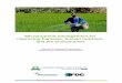 Micronutrient management for improving harvests, human ... · Micronutrient management for improving harvests, human nutrition, and the environment Terms of Reference ... nutrient