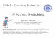 IP Packet Switching - Sharif University of Technologyce.sharif.edu/~b_momeni/ce443/resources/02-ip-packet-switching.pdf• Successive packets may not follow the same path –Not a